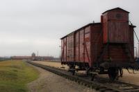 Birkenau 